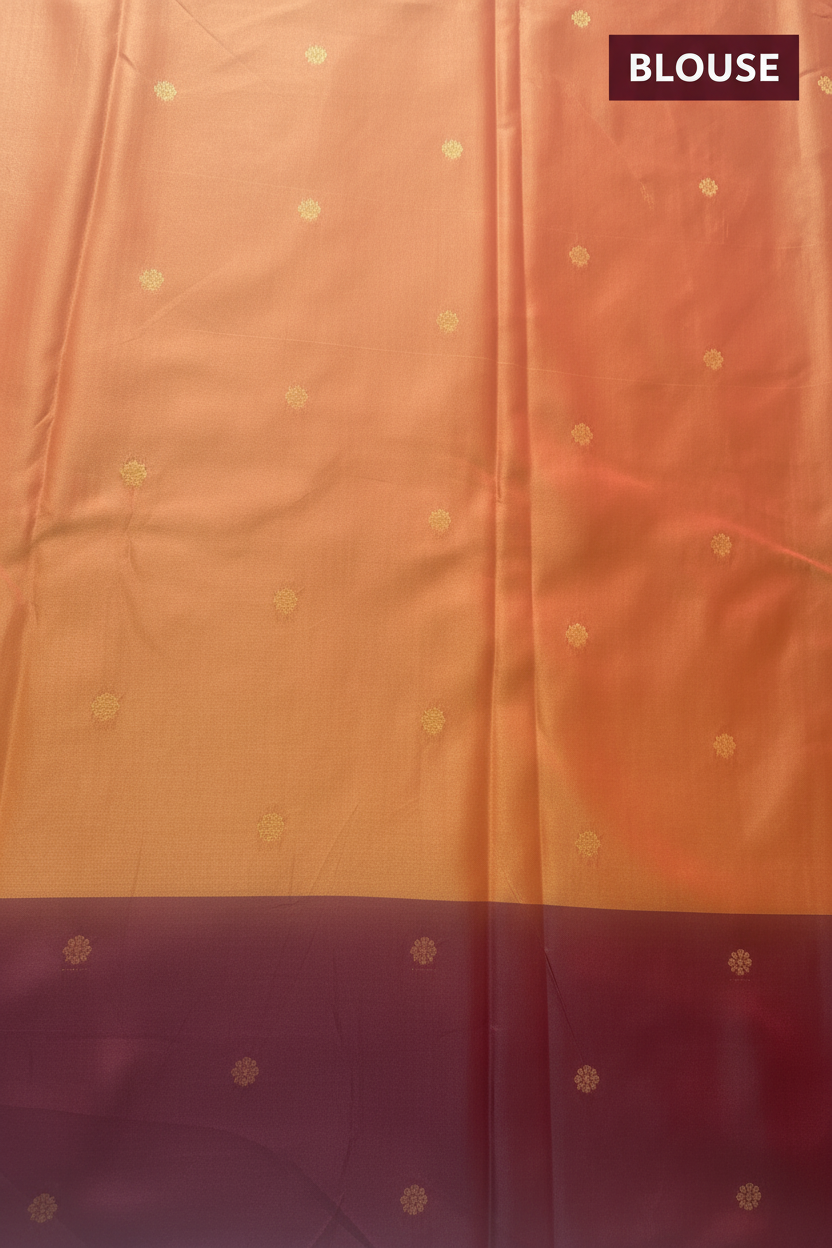 Gold and Brown Silk Saree